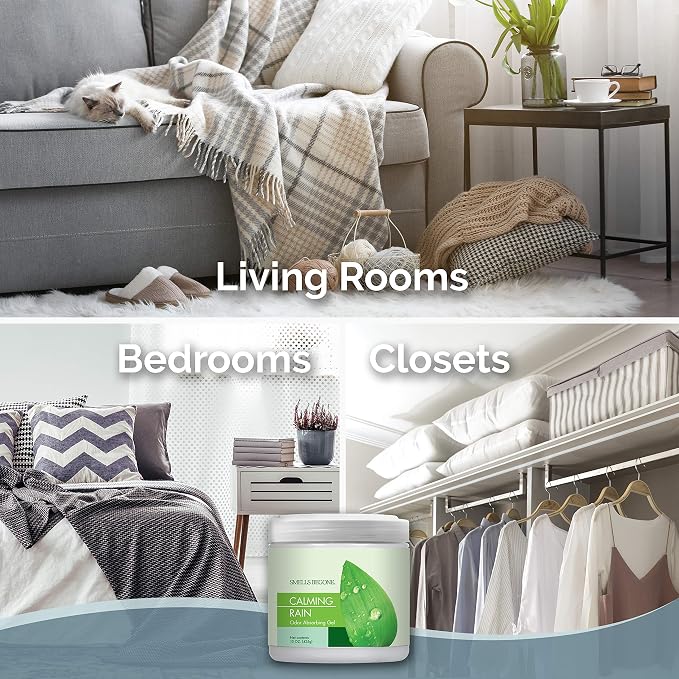 SMELLS BEGONE 15oz Gel Odor Eliminator - Absorb & Remove Tough Odors in Pet Areas, Bathrooms, Basements, Garage, Cars, RVs & Boats - Eliminate Odors Quickly (1-Pack, Calming Rain)