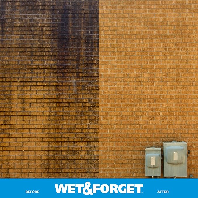 Wet & Forget Outdoor Moss Mold Mildew & Algae Stain Remover 2x .75 Gallon
