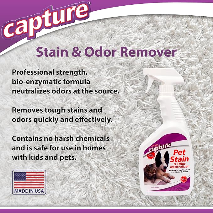 Capture Pet Stain & Odor Remover - Enzyme Pet Odor Eliminator for Home, Carpet Stain Remover for Cats & Dog Pee, Cat Urine Destroyer, Carpet Cleaner Spray - 32oz Spray Bottle