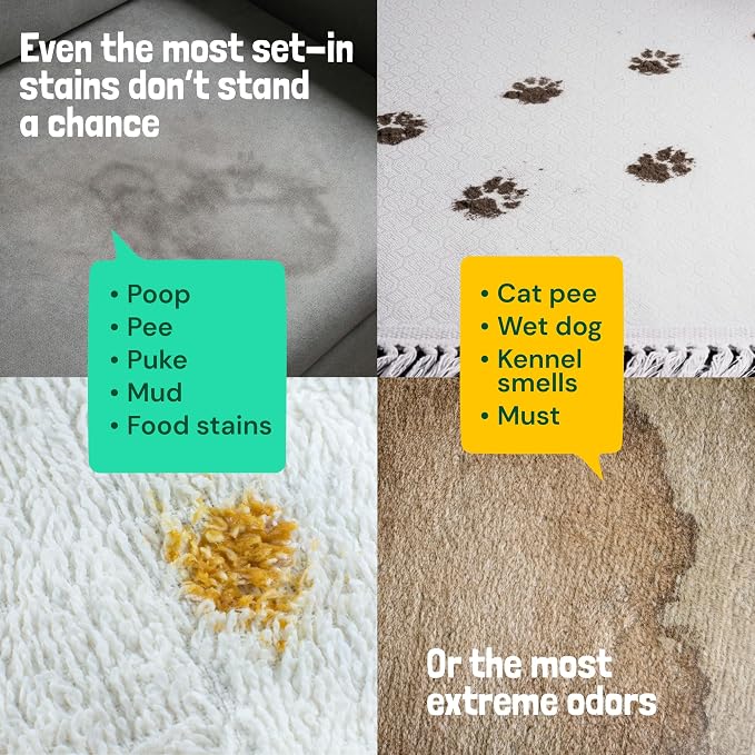 Sunny & Honey Turbo Pet Stain and Odor Remover for Carpets, 32fl oz Mint | USA Made - Enzyme Cleaner for Dog Urine & Poop - Eliminates Set In Stains - Color Safe - For Rugs, Furniture & Car Seats