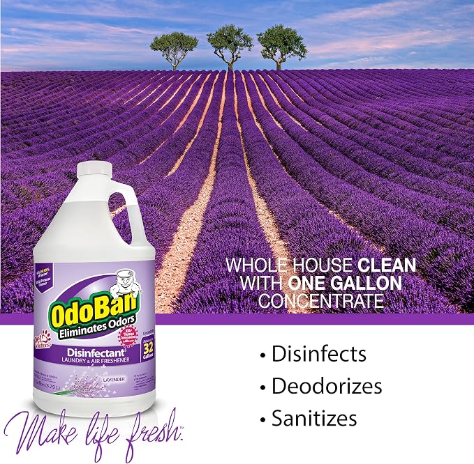 OdoBan Disinfectant Concentrate and Odor Eliminator, Made in the USA, Lavender Scent, 4 Gallons