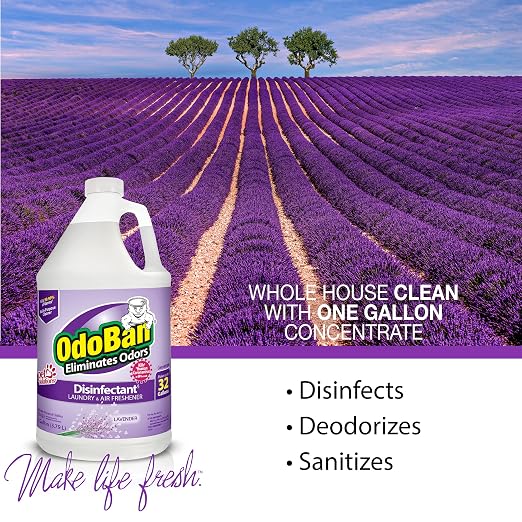 OdoBan Disinfectant Concentrate and Odor Eliminator, 2 Gallons, Lavender Scent